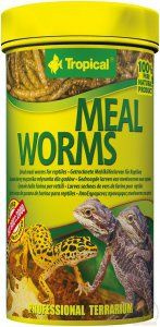 pol_pl_Tropical-Meal-Worms-250ml-648_1.jpg