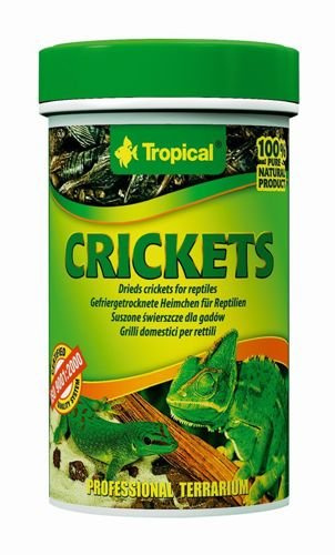 pol_pl_Tropical-Crickets-100ml-7465_1.jpg