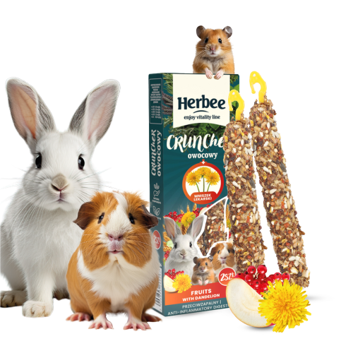 pol_pl_HERBEE-CRUNCHER-Dla-Gryzoni-I-Krolikow-Owocowy-Z-Mniszkiem-Lekarskim-115G-17264_2.png