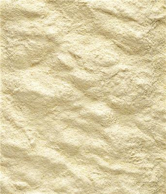 pol_pl_Versele-Laga-NutriBird-A19-Pokarm-Do-Recznego-Karmienia-Pisklat-800g-5737_2.jpg