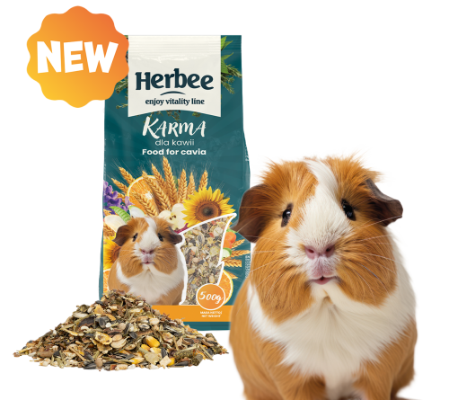 pol_pl_-Herbee-Karma-Sucha-dla-Kawii-Domowej-Kompletna-500-g-21311_2.png