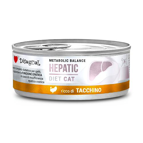 pol_pl_Disugual-Karma-Mokra-Dla-Kota-Weterynaryjna-HEPATIC-Indyk-85G-21383_1.png