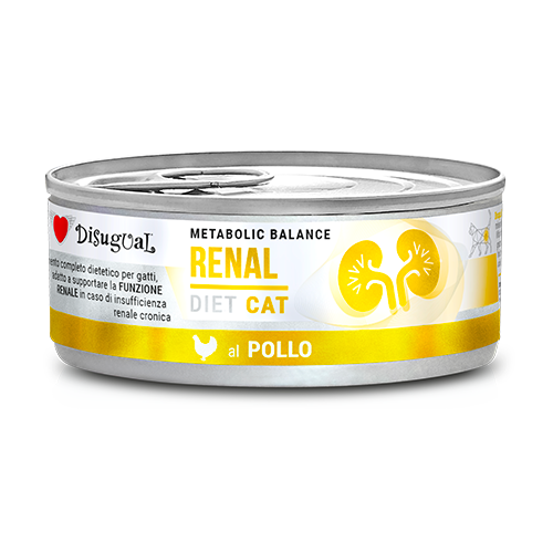 pol_pl_Disugual-Weterynaryjna-Karma-Mokra-Dla-Doroslych-Kotow-Renal-Kurczak-85G-21387_1.png