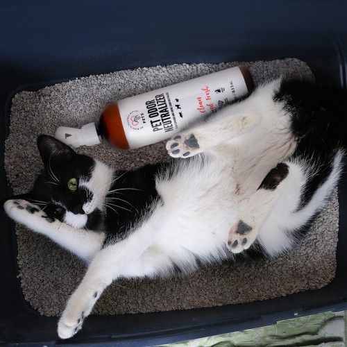 pol_pl_PET-ODOR-R-Neutralizator-I-Odplamiacz-Zapachu-Mocz-500-Ml-16484_1.jpg
