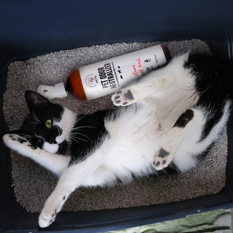 pol_pl_PET-ODOR-R-Neutralizator-I-Odplamiacz-Zapachu-Mocz-500-Ml-16484_1.jpg