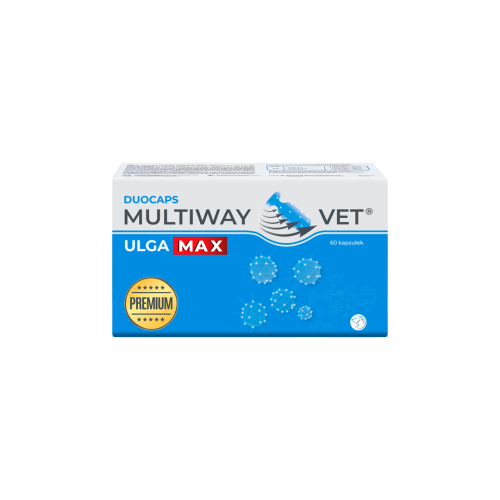 pol_pl_JM-SANTE-Multiway-Vet-Kapsulki-Dla-Psow-I-Kotow-Wsparcie-Neurologiczne-60-Tabletek-20572_1.png
