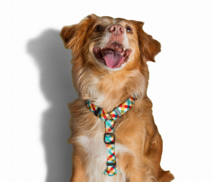 pol_pl_ZEE-DOG-Szelki-H-Phantom-L-4552_2.png