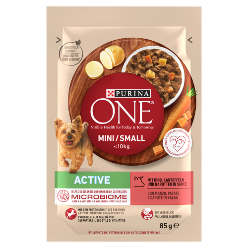 pol_pl_Purina-One-Mini-Small-Active-Karma-Dla-Psow-85g-15065_1.png