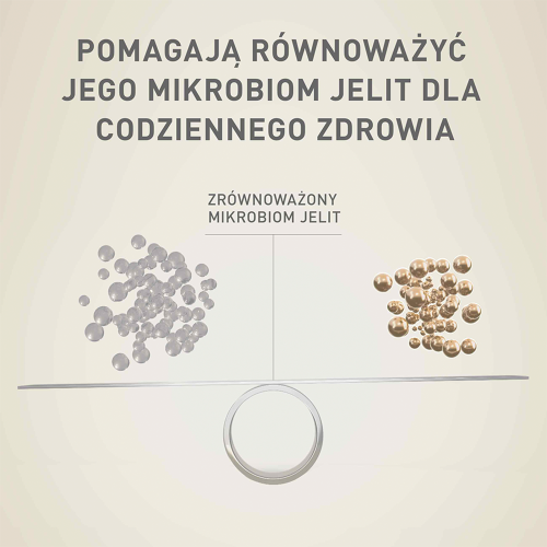 pol_pl_Purina-One-Mini-Small-Active-Karma-Dla-Psow-85g-15065_2.png