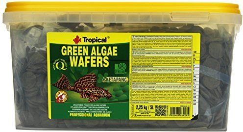 pol_pl_Tropical-Green-Algae-Wafers-5000ml-7369_1.jpg