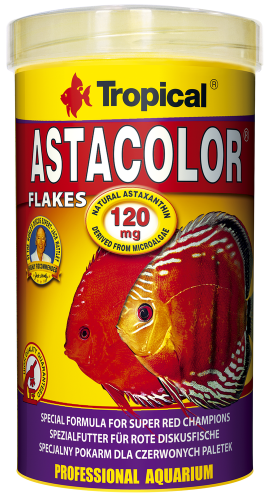 pol_pl_Tropical-Astacolor-100ml-8392_1.png
