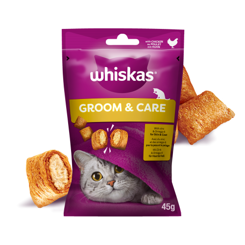 pol_pl_Whiskas-Zdrowy-Blask-Przysmak-Dla-Kota-Z-Kurczakiem-45g-15072_1.png