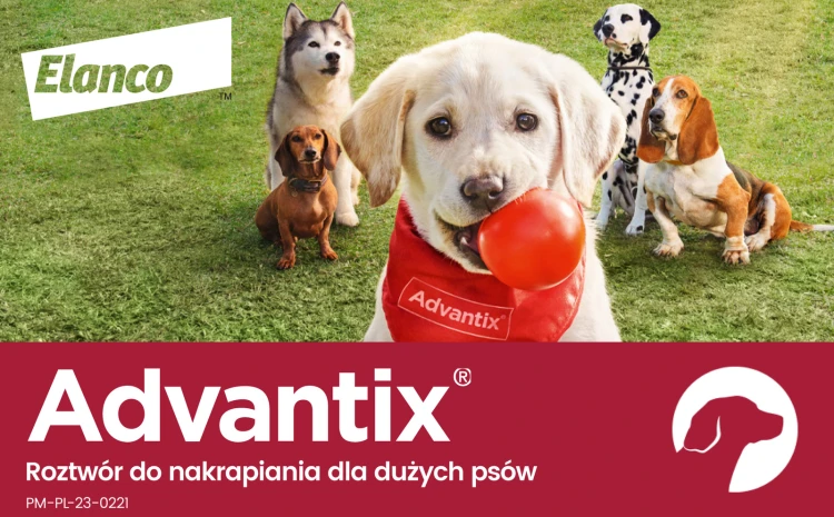 pol_pl_Bayer-Advantix-Krople-Na-Kleszcze-I-Pchly-4x4ml-8244_9.jpg