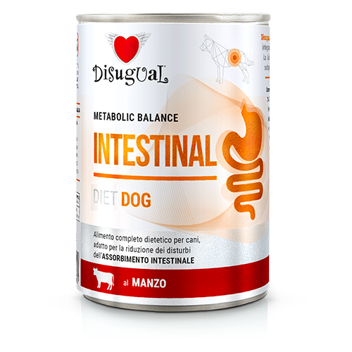 pol_pl_DISUGUAL-INTESTINAL-Karma-Mokra-Dla-Psa-Doroslego-Wolowina-400-G-21374_1.png
