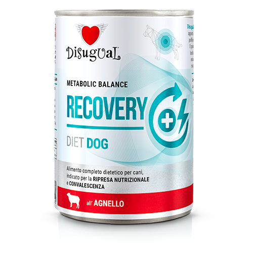 pol_pl_Disugual-Karma-Mokra-Dla-Psa-Weterynaryjna-REGENERACJA-Jagniecina-Dorosly-400g-21376_1.png