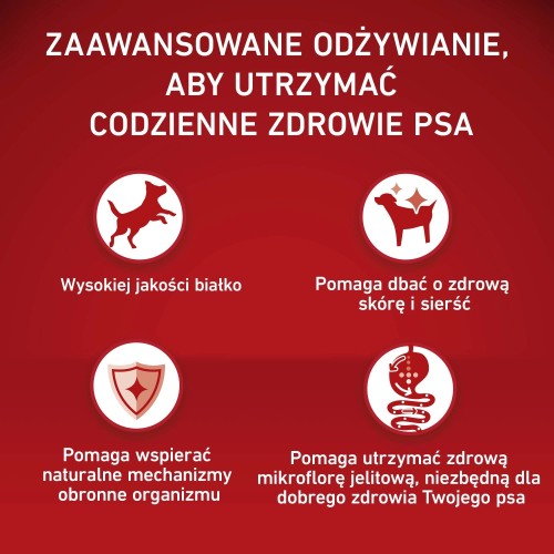 pol_pl_-PURINA-ONE-Purina-One-Medium-Maxi-Sucha-Karma-Dla-Doroslych-Psow-Wolowina-Z-Ryzem-12-Kg-22241_2.jpg