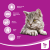 pol_pl_WHISKAS-Karma-Sucha-Dla-Kota-Po-Sterylizacji-1-Sterile-Z-Kurczakiem-14kg-246_4.png