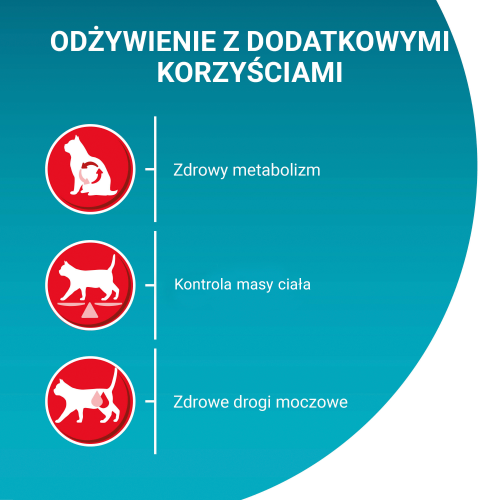 pol_pl_Purina-One-Sterilcat-Wolowina-I-Pszenica-Dla-Doroslych-Kotow-9-75kg-15037_2.png