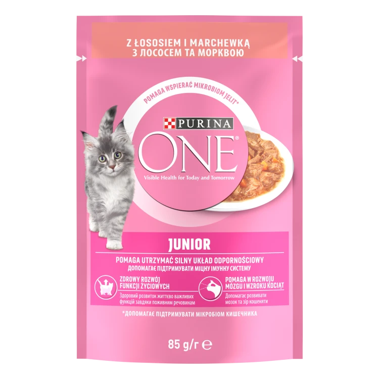 pol_pl_Purina-One-Junior-Karma-Dla-Kociat-Z-Lososiem-I-Marchewka-85g-15137_1.png
