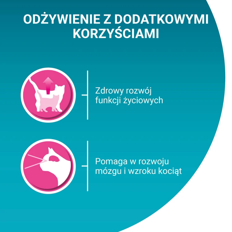 pol_pl_Purina-One-Junior-Karma-Dla-Kociat-Z-Lososiem-I-Marchewka-85g-15137_2.jpg