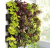 pol_pl_AQUAEL-Versa-Garden-12095_2.png