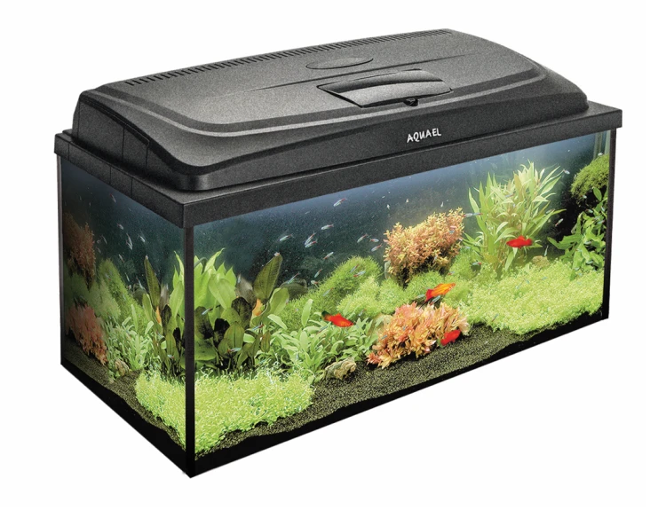pol_pl_AQUAEL-Zestaw-Akwarystyczny-Aqua4Family-80-P-D-N-12397_2.png