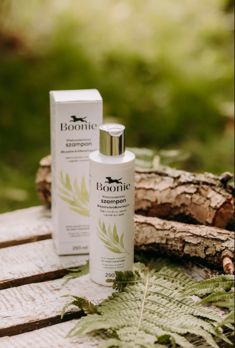 pol_pl_BOONIE-Beaphar-Multi-Shampoo-Szampon-Dla-Psow-Ras-Krotkowlosych-Pielegnacja-250Ml-22094_1.png