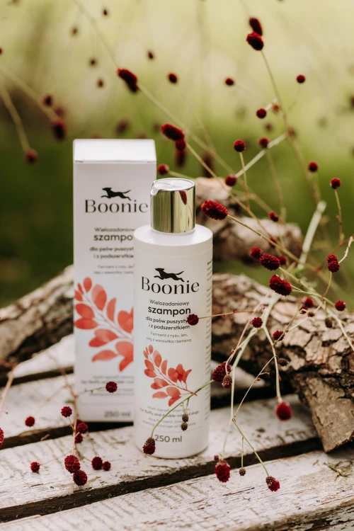 pol_pl_Boonie-Multi-Care-Szampon-Dla-Ras-Puszystych-Pielegnacja-250Ml-22097_1.jpg